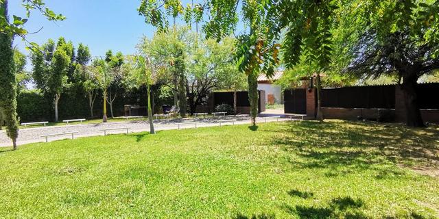 Foto de la galeria de imagenes